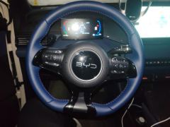 BYD Seagull 305km Free Version - ფოტო 18