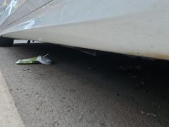 Volkswagen Golf 280TSI Pro Version - ფოტო 10