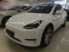 Tesla Model Y 545km Rear-Wheel Drive Edition - фото 1