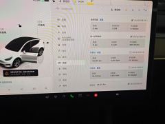 Tesla Model Y 545km Rear-Wheel Drive Edition - фото 20