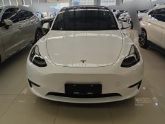 Tesla Model Y 545km Rear-Wheel Drive Edition - фото 3