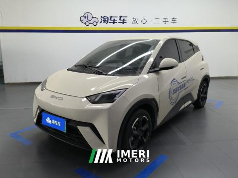 2023 BYD Seagull 405km Flying Edition - car from China