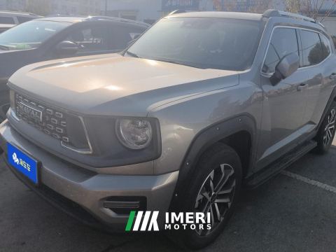 2023 Haval Dargo Big Dog PLUS 1.5T 2WD Tide Wild Edition Plus - ავტომობილი ჩინეთიდან