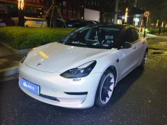 Tesla Model 3 556km Rear-Wheel Drive Edition - фото 1