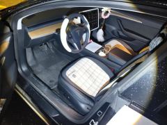 Tesla Model 3 556km Rear-Wheel Drive Edition - фото 14