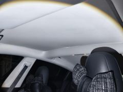 Tesla Model 3 556km Rear-Wheel Drive Edition - фото 15