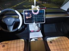 Tesla Model 3 556km Rear-Wheel Drive Edition - фото 16