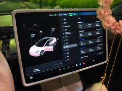 Tesla Model 3 556km Rear-Wheel Drive Edition - фото 17