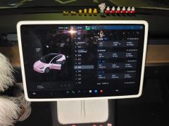 Tesla Model 3 556km Rear-Wheel Drive Edition - фото 20