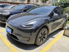 Tesla Model Y 554km Rear-Wheel Drive Edition - фото 1