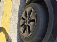 Tesla Model Y 554km Rear-Wheel Drive Edition - фото 6