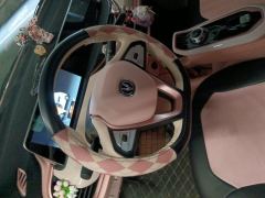 Oshan Benben E-Star Edition - ფოტო 18