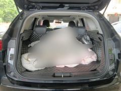Haval H6 Gen 3 1.5T 2WD Pro - photo 7