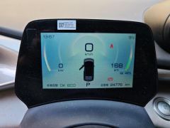 BYD Dolphin 405km Free Version - ფოტო 20