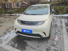 BYD Dolphin 420km Free Version - photo 3