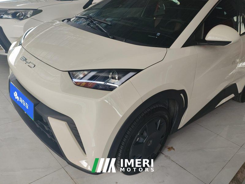 BYD Seagull 305km Vitality Edition - ავტომობილი ჩინეთიდან