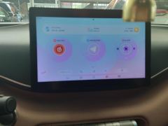 BYD Seagull 305km Vitality Edition - ფოტო 17