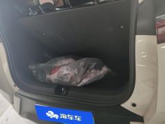 BYD Seagull 305km Vitality Edition - ფოტო 7