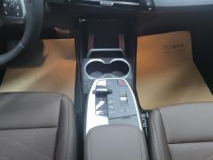 BMW X1 sDrive25Li M Sport Package - photo 19