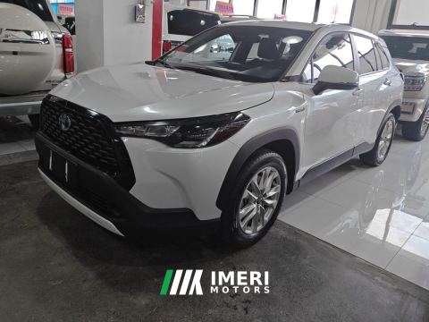 2023 Toyota Corolla Sharp Release Corolla Razor Dual-Engine 2.0L Pioneer Edition