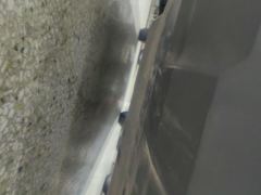 Volkswagen Tacqua 1.5L Edition - фото 8