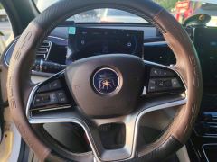 BYD Qin PLUS EV Champion Edition 510km Leading Edition - photo 18