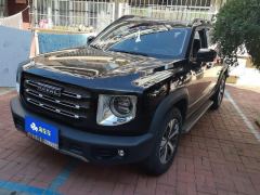 Haval Great Wall Big Dog Great Wall Dog 1.5T Two-wheel drive Labrador version - фото 1