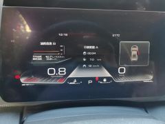 Haval Great Wall Big Dog Great Wall Dog 1.5T Two-wheel drive Labrador version - фото 20
