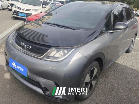 2023 BYD Dolphin 420km Stylish Edition - ავტომობილი ჩინეთიდან