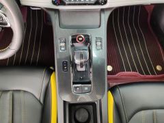 GAC Shadow Leopard 270T J15 Edition - ფოტო 19