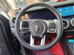 Tank 300 City Edition 2.0T Stylish - ფოტო 18