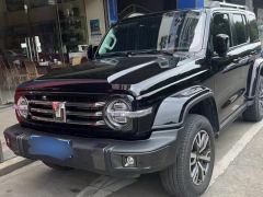 Tank 300 City Edition 2.0T Stylish - ფოტო 6