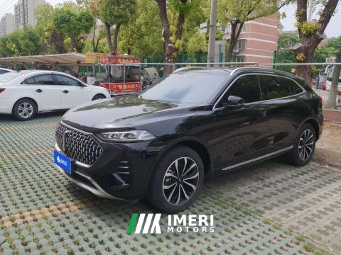 2021 Great Wall Mocha fuel Weipai Mocha Fuel Oil 2.0T Two-Wheel Drive Special Edition