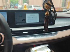 Chery Arrizo 8 Edition 2.0T - ფოტო 17