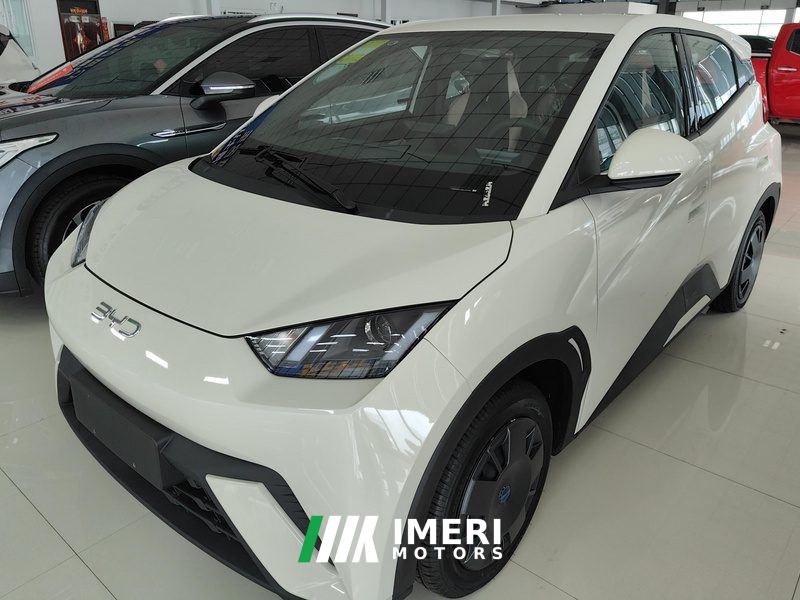 BYD Seagull Honor Edition 305km Vitality Edition - ავტომობილი ჩინეთიდან