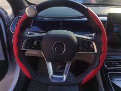 BYD Qin PLUS DM-i 55km Flagship - ფოტო 18