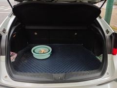 Toyota C-HR 2.0L Luxury - ფოტო 7
