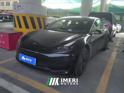 2021 Tesla Model 3 Standard Range Edition 3D6 - ავტომობილი ჩინეთიდან