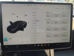 Tesla Model 3 Standard Range Edition - ფოტო 17