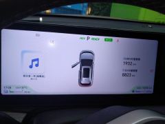 Sehol QX PHEV 1.5L 120km Prestige Edition - фото 20