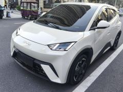 BYD Seagull 405km Flying Edition - photo 1