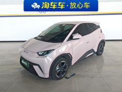 BYD Seagull Honor Edition 405km Flying Edition - ფოტო 1