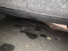 Haval Divine Beast 1.5T 2WD Edition - фото 8
