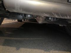 Haval Divine Beast 1.5T 2WD Edition - фото 9
