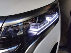 Denza D9 DM-i 1.5T 180km AWD Version 7 - photo 4