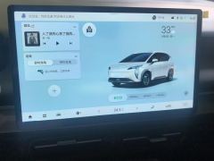 Aion Y Plus 510km 510 Joy Edition Lithium iron phosphate - photo 17