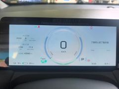Aion Y Plus 510km 510 Joy Edition Lithium iron phosphate - photo 20