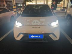 BYD Seagull 405km Flying Edition - photo 3