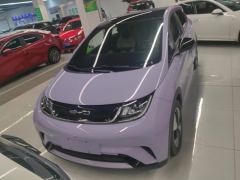 BYD Dolphin 420km Stylish Edition - ფოტო 3