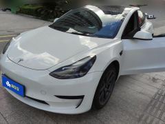 Tesla Model 3 Standard Range Edition 3D6 - фото 1